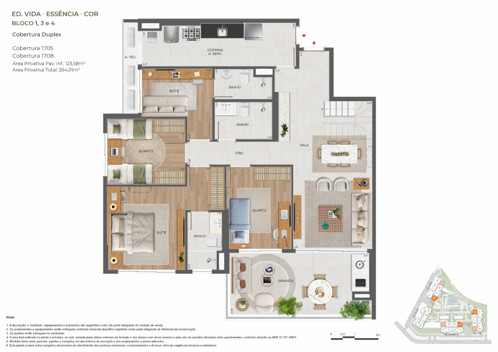 Planta 8
